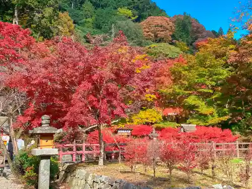 談山神社の自然