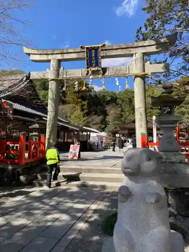 出雲大神宮の鳥居