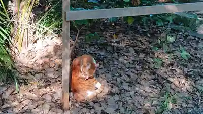 熱田神宮のその他建物