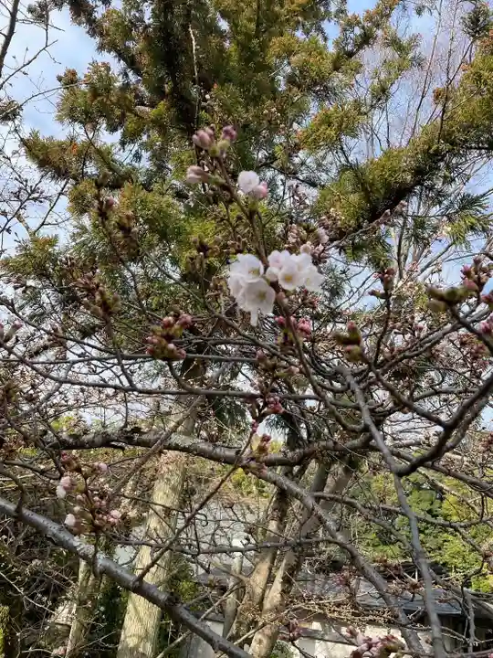 伊勢の国 四天王寺(三重県)
