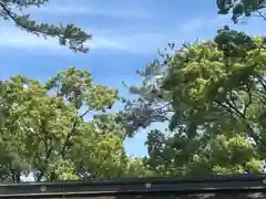 治水神社(岐阜県)