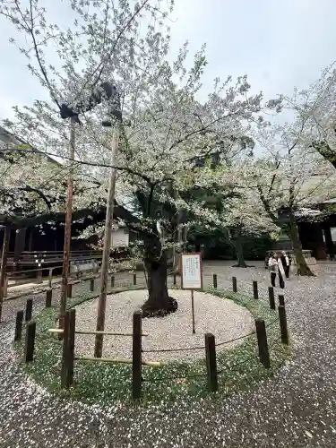 靖國神社の{uncategorized: "未分類", other: "その他", undefined: "問題あり", building: "その他建物", grave: "お墓", sacred_gate: "鳥居", guardian: "狛犬", statue: "像", buddha: "仏像", history: "歴史", nature: "自然", garden: "庭園", animal: "動物", pagoda: "塔", temizu: "手水舎", mountain_gate: "山門・神門", sanctuary: "本殿・本堂", subordinate: "末社・摂社", art: "芸術", scenery: "景色", jizo: "地蔵", ema: "絵馬", goshuin: "御朱印", omikuji: "おみくじ", items: "授与品その他", amulet: "お守り", goshuincho: "御朱印帳", eats: "食事", festival: "お祭り", votive_dance: "神楽", shichigosan: "七五三参", wedding: "結婚式", experience: "体験その他", initially: "初詣", around: "周辺", anti_infection: "感染症対策"}