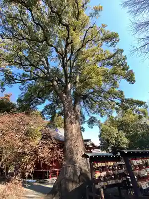 冠稲荷神社(群馬県)