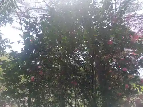 八幡神社(福島県)