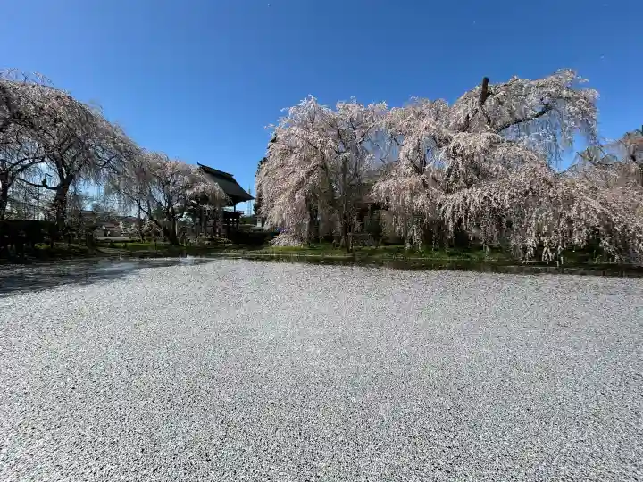 安養寺の{uncategorized: "未分類", other: "その他", undefined: "問題あり", building: "その他建物", grave: "お墓", sacred_gate: "鳥居", guardian: "狛犬", statue: "像", buddha: "仏像", history: "歴史", nature: "自然", garden: "庭園", animal: "動物", pagoda: "塔", temizu: "手水舎", mountain_gate: "山門・神門", sanctuary: "本殿・本堂", subordinate: "末社・摂社", art: "芸術", scenery: "景色", jizo: "地蔵", ema: "絵馬", goshuin: "御朱印", omikuji: "おみくじ", items: "授与品その他", amulet: "お守り", goshuincho: "御朱印帳", eats: "食事", festival: "お祭り", votive_dance: "神楽", shichigosan: "七五三参", wedding: "結婚式", experience: "体験その他", initially: "初詣", around: "周辺", anti_infection: "感染症対策"}