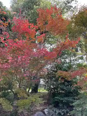 葛原八幡神社(福岡県)
