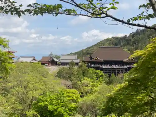 清水寺の景色