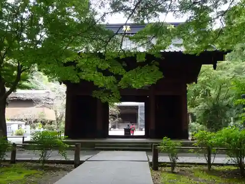 妙本寺の山門・神門