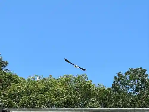 大生郷天満宮(茨城県)