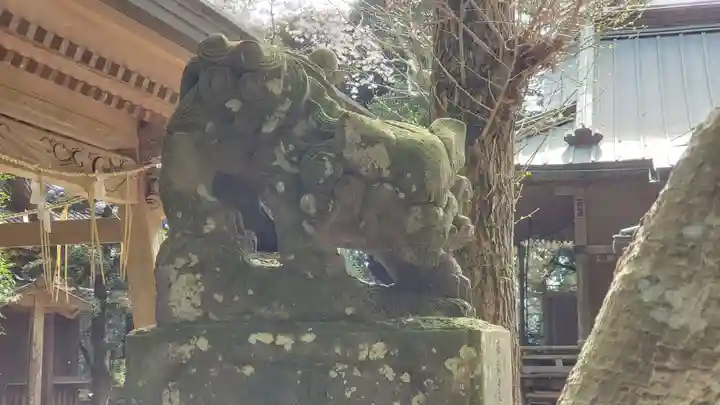 府馬愛宕神社の狛犬