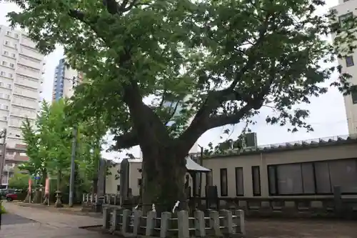 阿邪訶根神社の自然