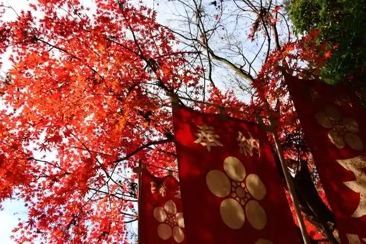 鹿島大神宮の景色