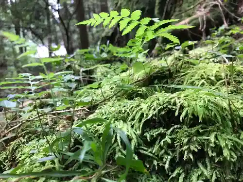 御岩神社の自然