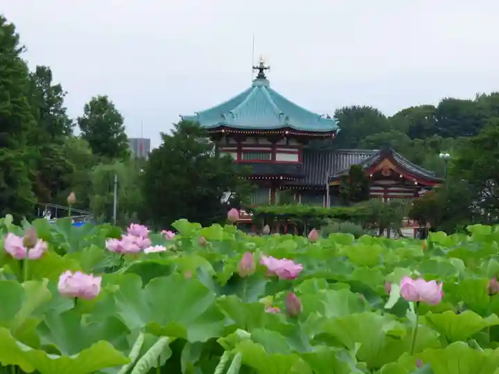 寛永寺不忍池弁天堂の本殿・本堂