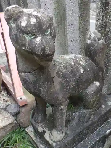御辰稲荷神社の狛犬