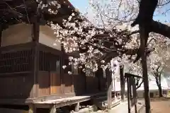 南宮大神社の本殿