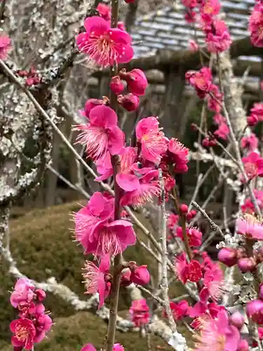 成田山新勝寺の自然