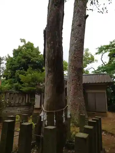 伊古乃速御玉比売神社の自然
