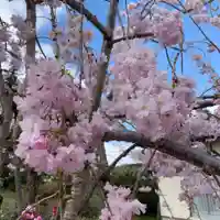 豊景神社の自然