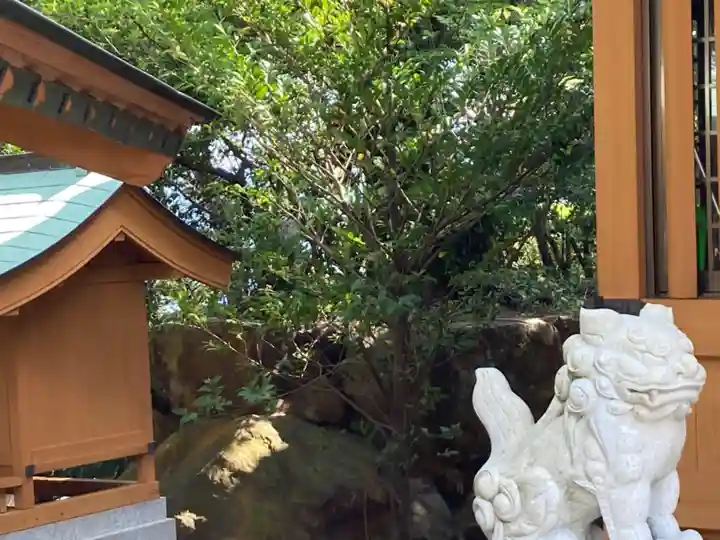 外泊天満神社の狛犬