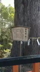 熊野那智神社の自然