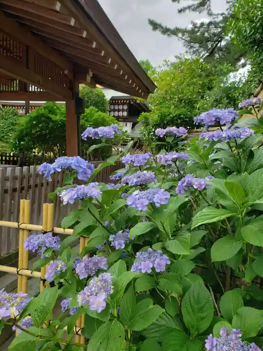 中野沼袋氷川神社(東京都)