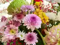 滑川神社 - 仕事と子どもの守り神の手水舎