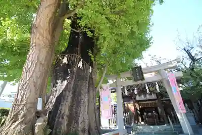 飛木稲荷神社(東京都)