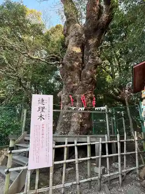 城山八幡宮(愛知県)