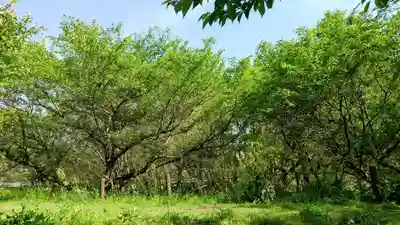 河獺弁天(史跡)(茨城県)