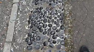 札内神社の庭園