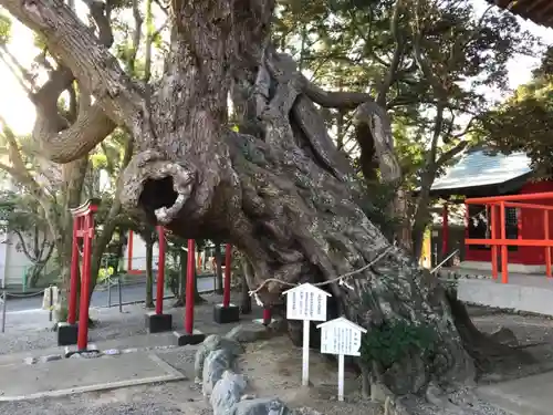 高塚熊野神社の庭園