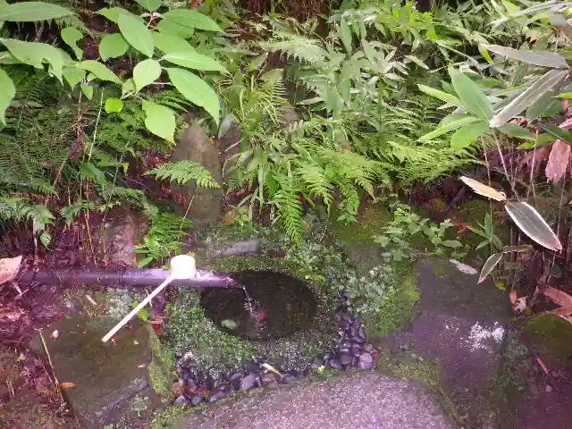 瑞泉寺の手水舎
