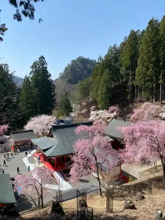 金櫻神社(山梨県)