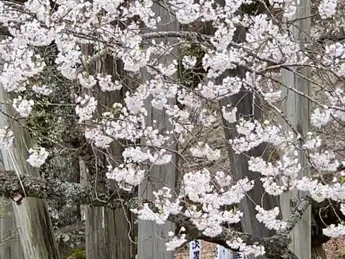 淡墨観音の自然