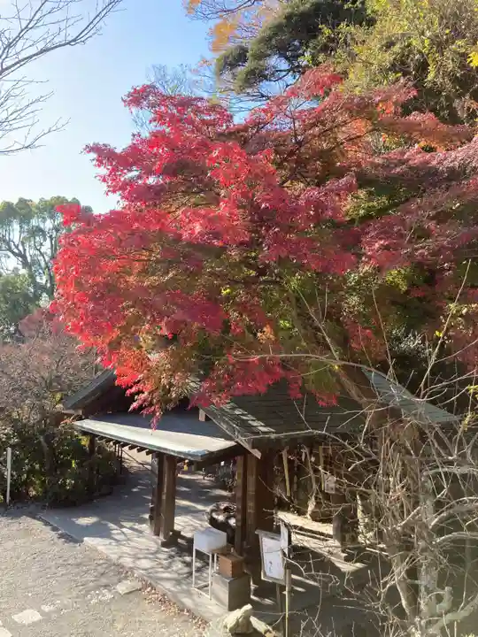 鎌倉宮(神奈川県)