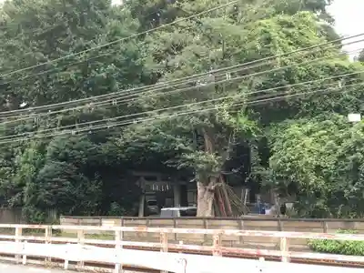 大原稲荷神社の周辺