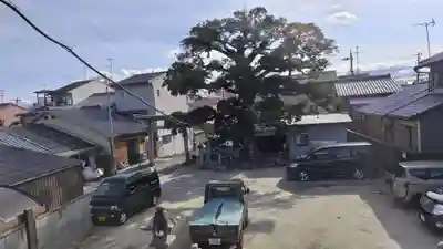 櫟谷七野神社(京都府)