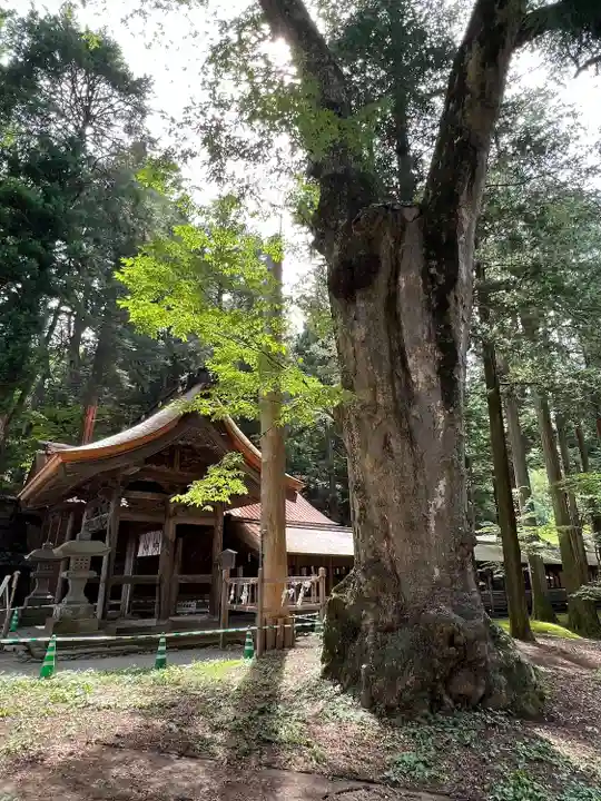 諏訪大社(長野県)