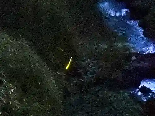 白鳥神社の周辺