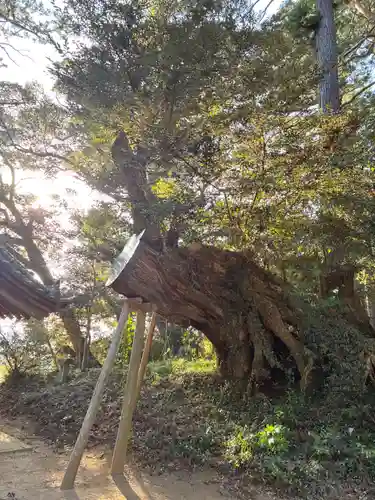 木内大神(千葉県)
