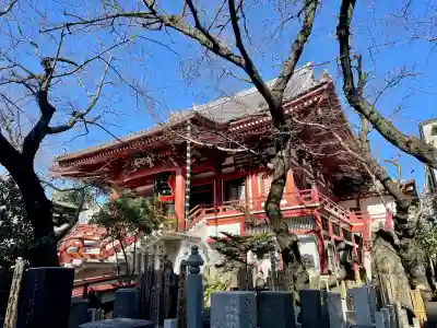 浄心寺の{uncategorized: "未分類", other: "その他", undefined: "問題あり", building: "その他建物", grave: "お墓", sacred_gate: "鳥居", guardian: "狛犬", statue: "像", buddha: "仏像", history: "歴史", nature: "自然", garden: "庭園", animal: "動物", pagoda: "塔", temizu: "手水舎", mountain_gate: "山門・神門", sanctuary: "本殿・本堂", subordinate: "末社・摂社", art: "芸術", scenery: "景色", jizo: "地蔵", ema: "絵馬", goshuin: "御朱印", omikuji: "おみくじ", items: "授与品その他", amulet: "お守り", goshuincho: "御朱印帳", eats: "食事", festival: "お祭り", votive_dance: "神楽", shichigosan: "七五三参", wedding: "結婚式", experience: "体験その他", initially: "初詣", around: "周辺", anti_infection: "感染症対策"}