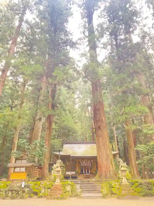 室生龍穴神社の{uncategorized: "未分類", other: "その他", undefined: "問題あり", building: "その他建物", grave: "お墓", sacred_gate: "鳥居", guardian: "狛犬", statue: "像", buddha: "仏像", history: "歴史", nature: "自然", garden: "庭園", animal: "動物", pagoda: "塔", temizu: "手水舎", mountain_gate: "山門・神門", sanctuary: "本殿・本堂", subordinate: "末社・摂社", art: "芸術", scenery: "景色", jizo: "地蔵", ema: "絵馬", goshuin: "御朱印", omikuji: "おみくじ", items: "授与品その他", amulet: "お守り", goshuincho: "御朱印帳", eats: "食事", festival: "お祭り", votive_dance: "神楽", shichigosan: "七五三参", wedding: "結婚式", experience: "体験その他", initially: "初詣", around: "周辺", anti_infection: "感染症対策"}