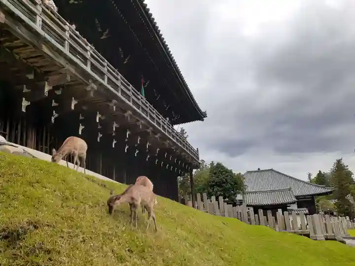 東大寺 二月堂(奈良県)