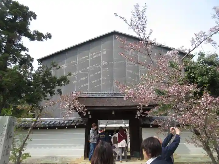 仁和寺の山門・神門