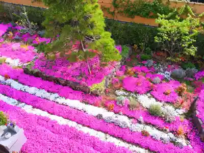 寿量山 速成寺(奈良県)