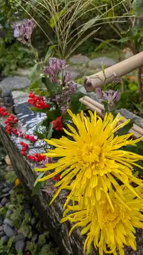 宝蔵寺(京都府)