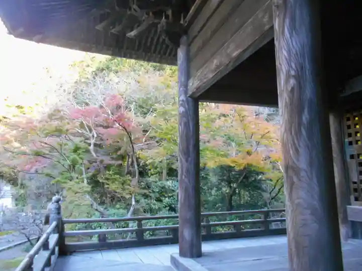 妙本寺のその他建物