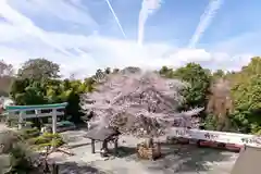 出雲大社相模分祠(神奈川県)