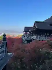 清水寺(京都府)